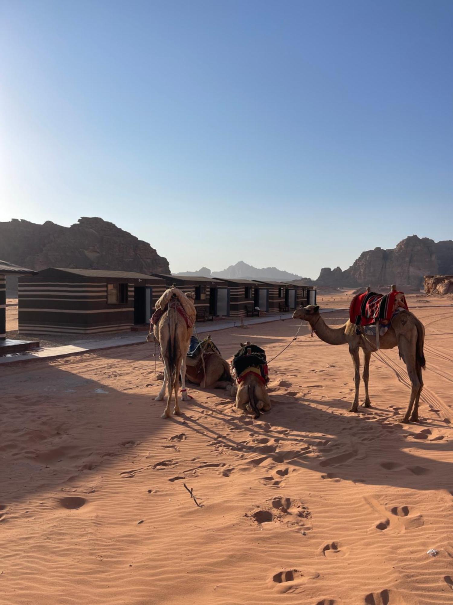Tente de luxe Wadi Star Camp